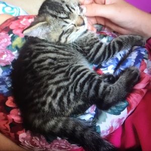 Meet your Posher, Mya